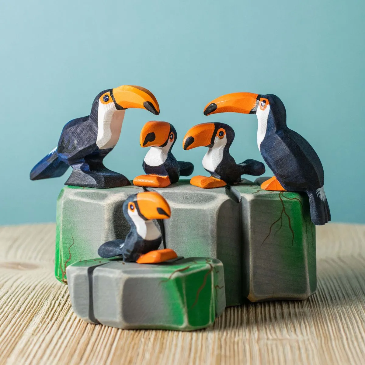 Wooden Toucan Chick